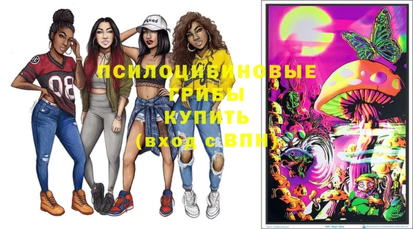 PSILOCYBIN Баксан