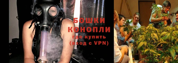 PSILOCYBIN Баксан