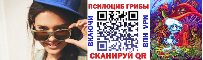 купить наркоту  Ефремов  Галлюциногенные грибы Cubensis 